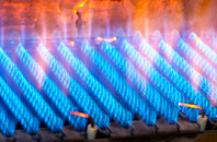 Newton St Petrock gas fired boilers